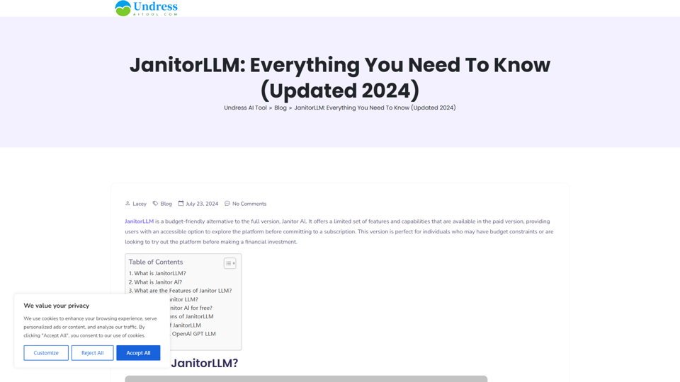 JanitorLLM: Everything You Need To Know (Updated 2024)